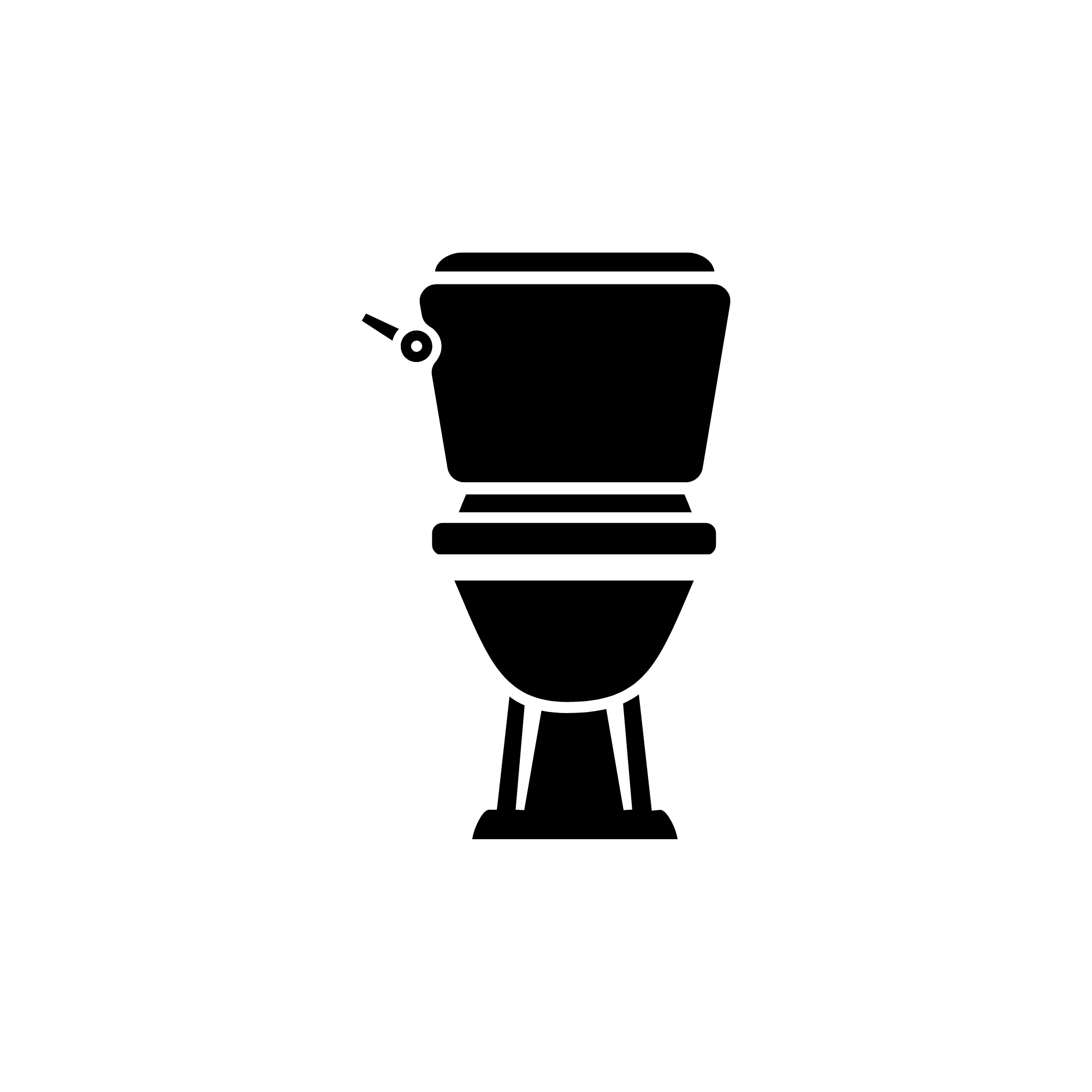 Toilets & Bathrooms